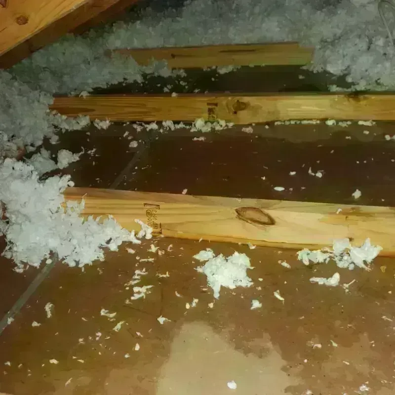 Attic Water Damage in Jefferson Davis County, MS