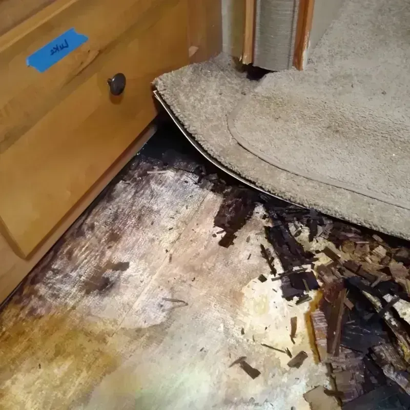 Wood Floor Water Damage in Jefferson Davis County, MS